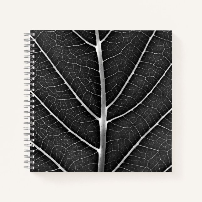 Black and white glowing leaf close-up notebook (Front)