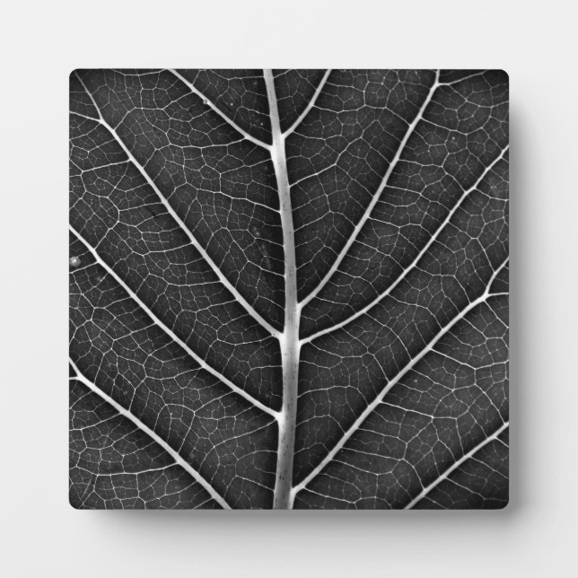 Black and white glowing leaf close-up plaque (Front)