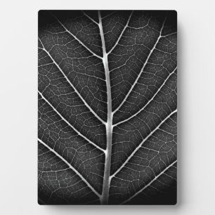 Black and White Glowing Leaf Close-Up Plaque