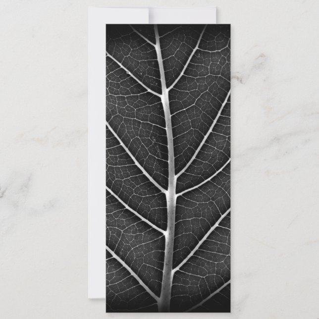 Black and white glowing leaf close-up save the date (Front)
