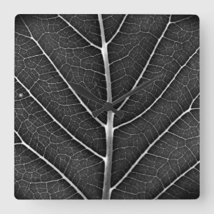 Black and White Glowing Leaf Close-Up Square Wall Clock