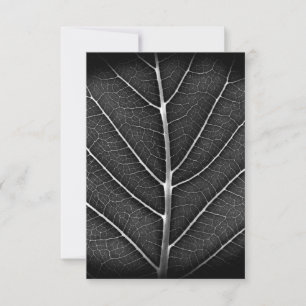 Black and white glowing leaf close-up thank you card