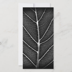 Black and white glowing leaf close-up thank you card