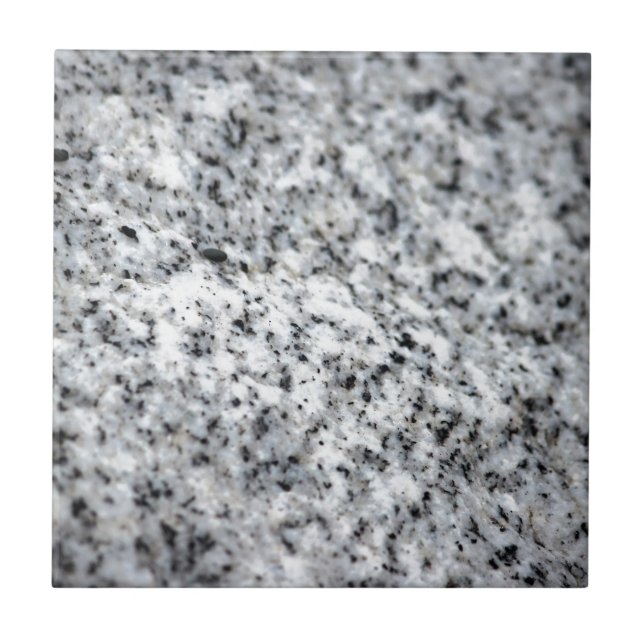 Black and White Granite Rock Ceramic Tile (Front)