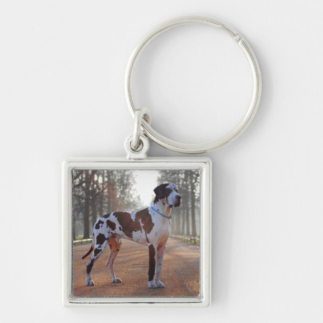 Black and White Great Dane Key Ring (Front)