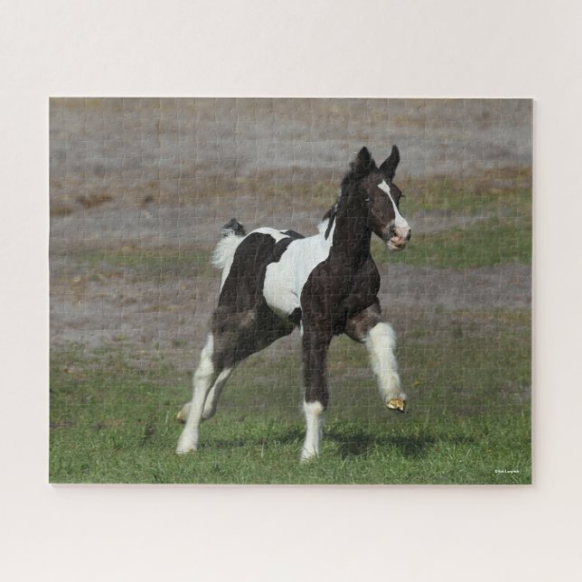 Black and White Gypsy Vanner Foal Running Jigsaw Puzzle (Horizontal)
