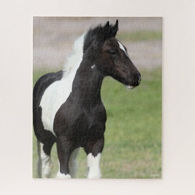 Black and White Gypsy Vanner Foal Standing Jigsaw Puzzle (Vertical)