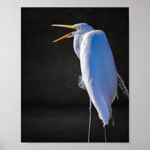 Black and White Heron Tropical Printable Art  Poster