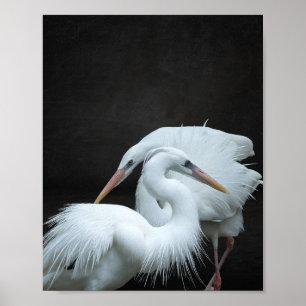 Black and White Heron Tropical Printable Art  Poster