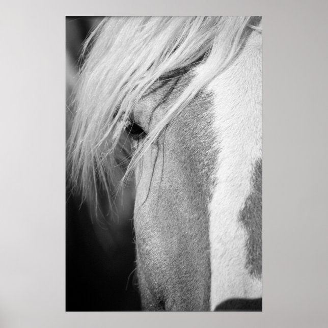 Black and White Horse Portrait Poster (Front)