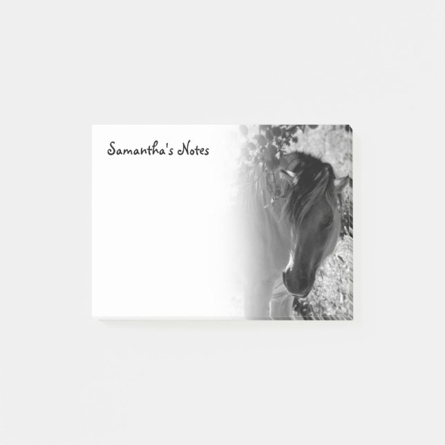 Black and white horse Post-It Notes (Front)