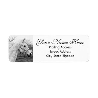 Black and White Horse Return Address Label