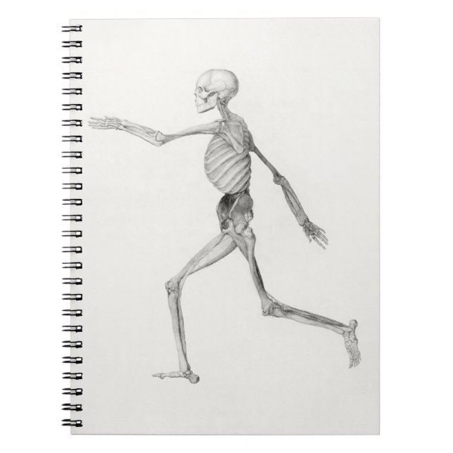 Black and White Human Walking Skeleton Notebook (Front)