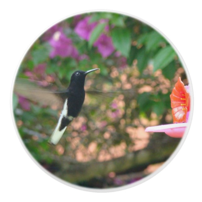 Black and White hummingbird flying at a feeder Ceramic Knob (Front)