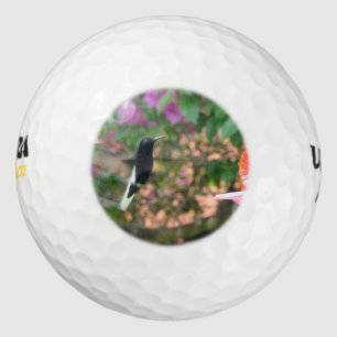 Black and White hummingbird flying at a feeder Golf Balls