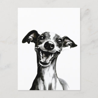 Black and white Iggy | Cute Italian Greyhound Postcard