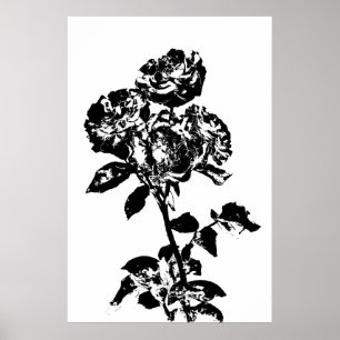 Black and White Illustrated Roses Art Poster