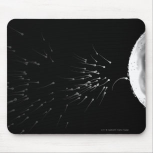 Black and white illustration of fertilisation mouse pad
