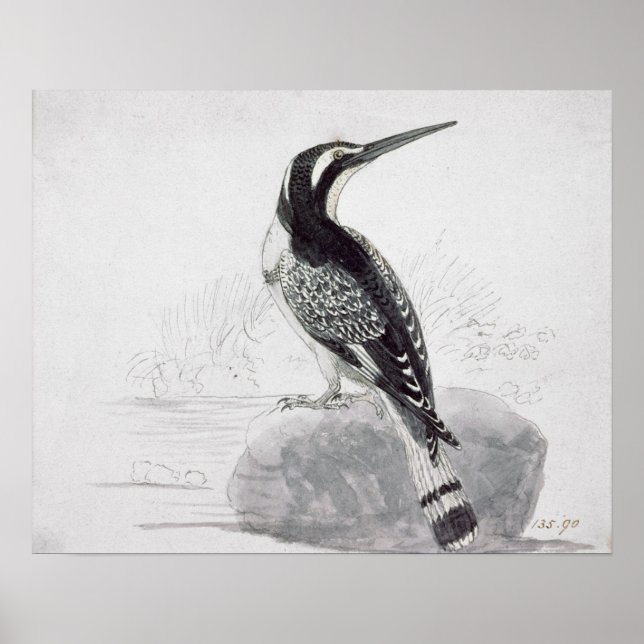 Black and White Kingfisher Poster (Front)