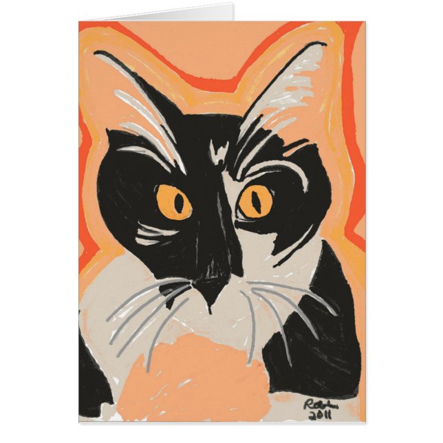 Black and White Kitten (Front)