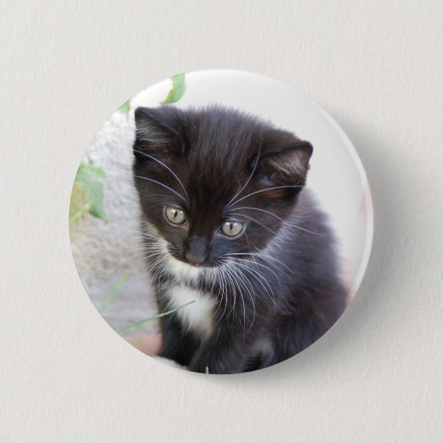 Black and White Kitten 6 Cm Round Badge (Front)