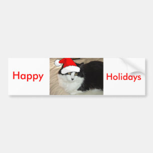 Black and White Kitten Bumper Sticker