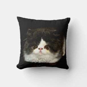 Black and white kitten cushion