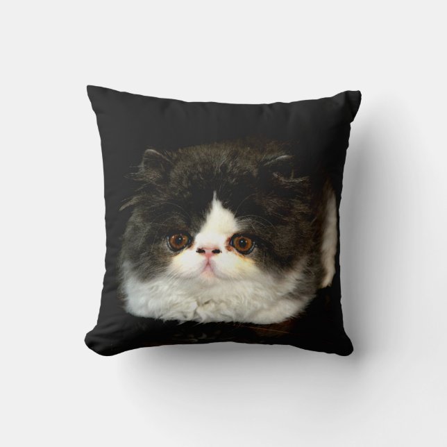 Black and white kitten cushion (Front)
