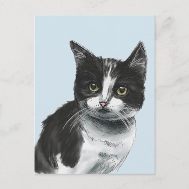 Black and White Kitten Drawing Postcard (Front)