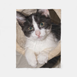 Black and white kitten fleece blanket