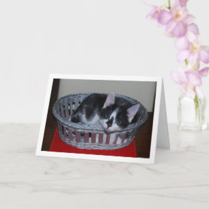 Black and White Kitten In Basket Card