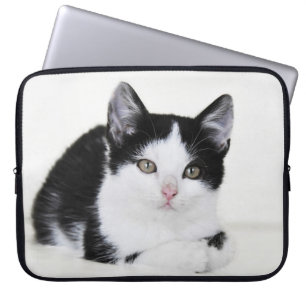 Black and White Kitten Laptop Sleeve