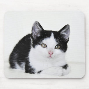 Black and White Kitten Mouse Pad
