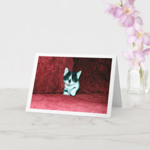 Black and White Kitten on Red Sofa Card