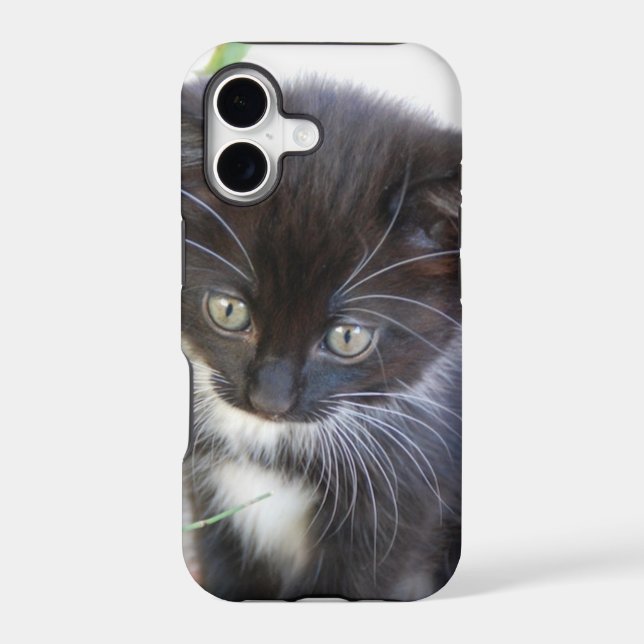 Black and White Kitten Photo (Back)