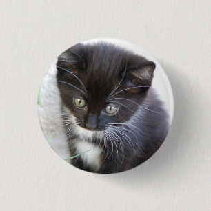 Black and White Kitten Photo 3 Cm Round Badge