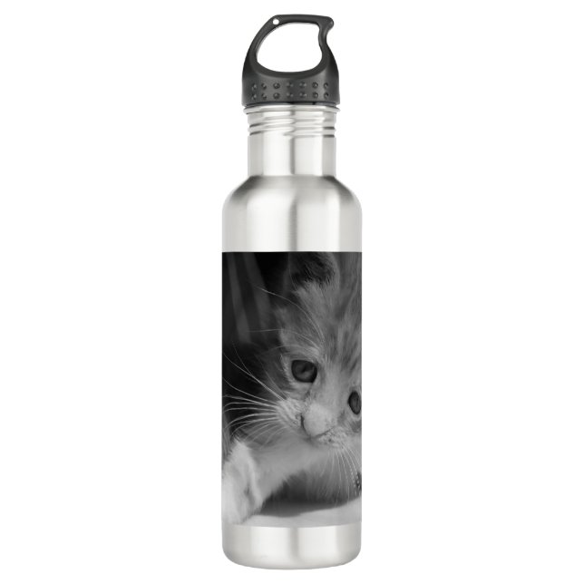 Black and White Kitten Photograph 710 Ml Water Bottle (Front)