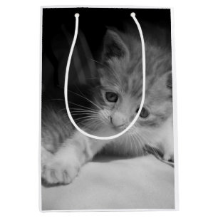 Black and White Kitten Photograph Medium Gift Bag