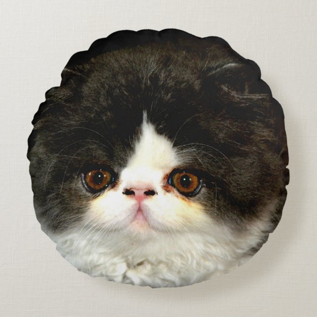 Black and White Kitten Round Cushion (Front)
