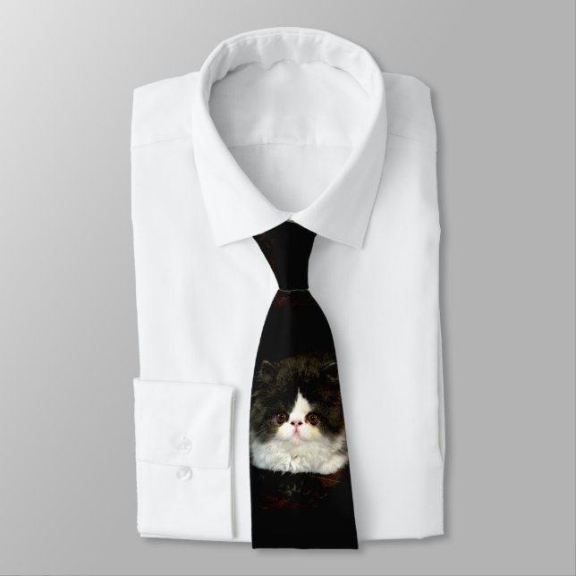 Black and White Kitten Tie (Tied)
