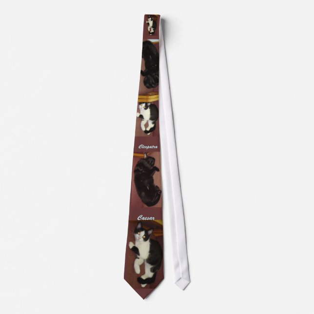 Black and White Kitties Tie (Front)