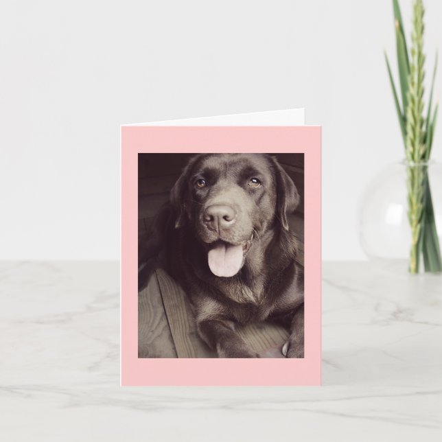 Black And White Labrador Retriever Dog Note Card (Front)