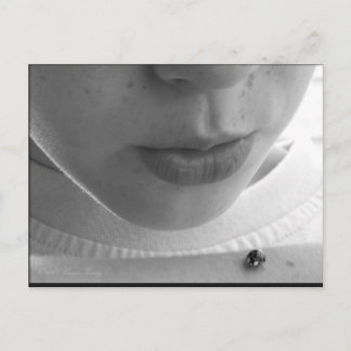 Black and White Ladybug Postcard