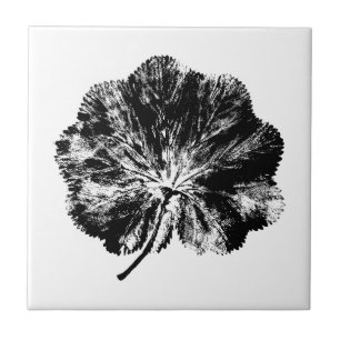 Black and White Lady's Mantle Leaf Print Ceramic Tile