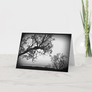 Black And White Lake Scene Any Occasion Card