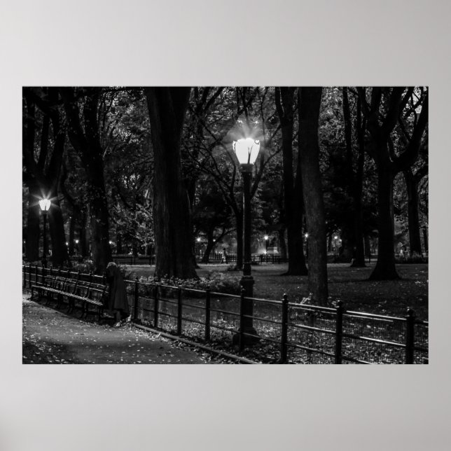 Black and White Landscape Photo of Central Park Poster (Front)