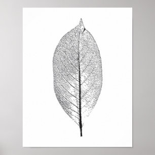 Black and White leaf poster