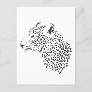 Black And White Leopard Postcard