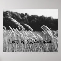 Black and White Life is Beautiful Quote