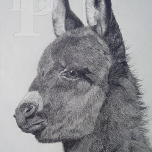 black and white lifelike drawing of cute donkey jigsaw puzzle